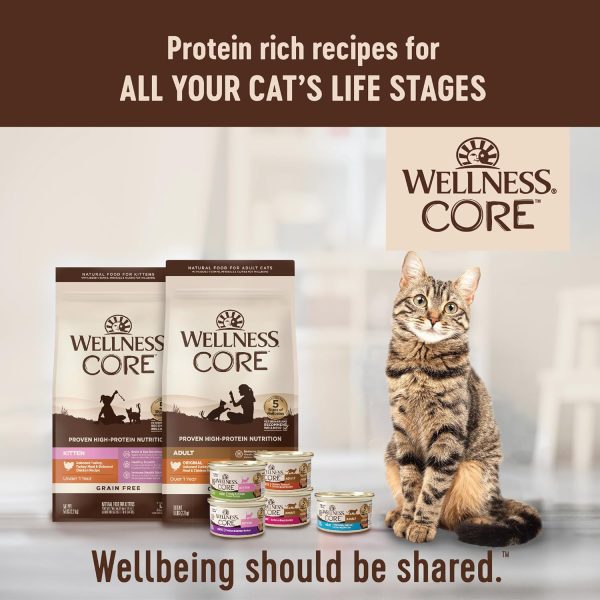 Wellness Grain Free Wet Cat Food Tuna Salmon Flaked-7