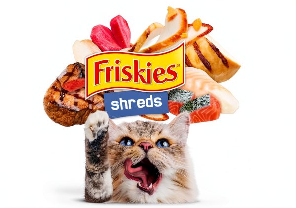 Purina Friskies Shreds Wet Cat Food Variety Pack Gravy-7
