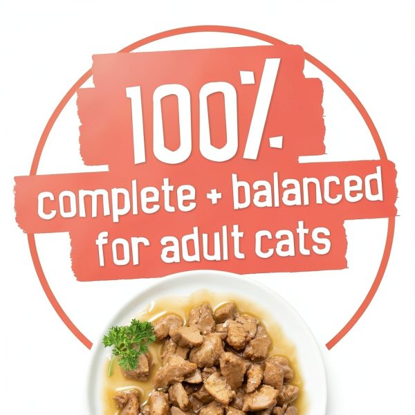 Purina Friskies Canned Cat Food Variety Pack Gravy-3