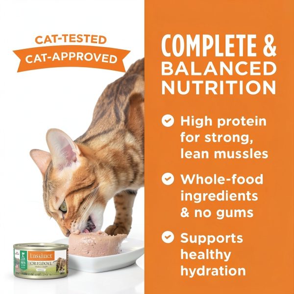 Instinct Grain Free Wet Cat Food Lamb Protein Natural-4