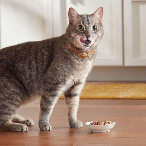 Meow Mix Wet Cat Food Poultry Variety Pack for Cats-3